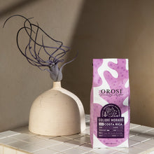 Load image into Gallery viewer, Colibri Morado | Costa Rica